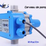 Cerveau Bleu